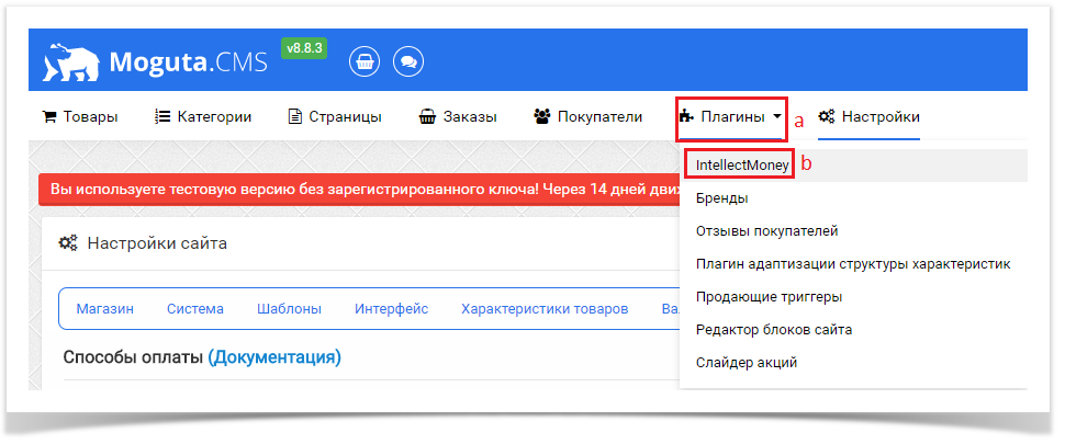 Техническая поддержка > Moguta.CMS > IntellectMoney.png